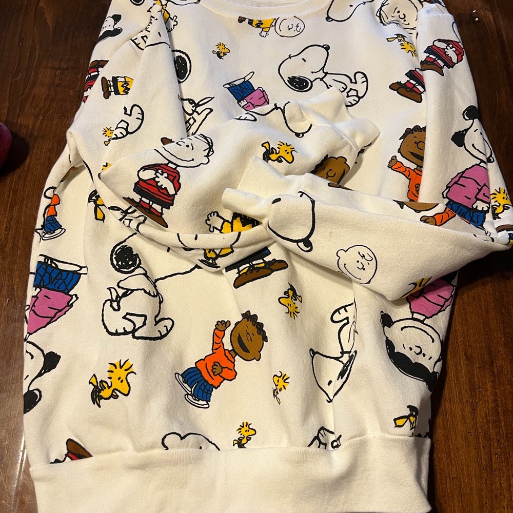 Peanuts Snoopy and Friends Graphic Sweatshirt